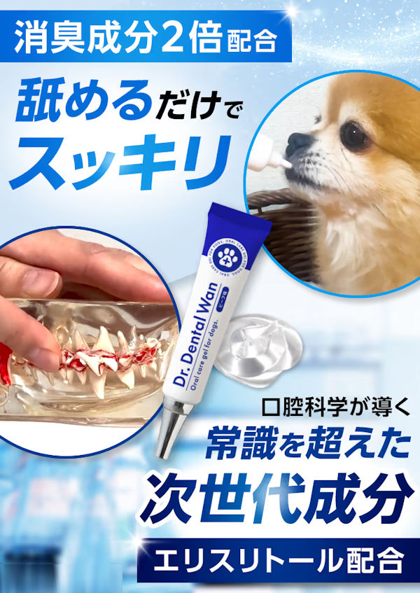 ドクターデンタルワン
